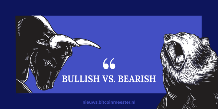 Wat is een bear market en bull market?